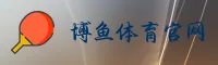 博鱼app最新官网怎么找？快速访问安全直达通道